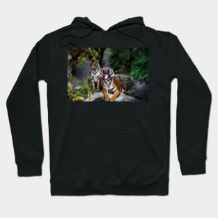 tiger, screaming tiger Hoodie